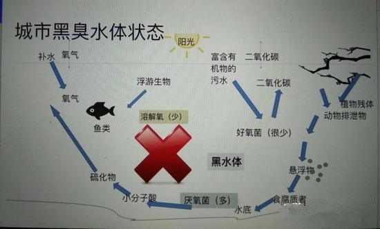 江蘇億元投資治污新技術(shù) 石墨烯能否治理黑臭水體？