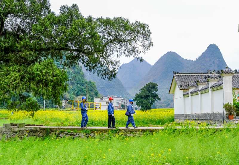 平塘供電局：“網(wǎng)格化”服務，護航“菜籃子”