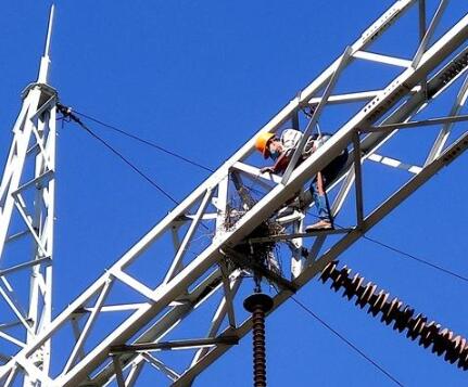 山東石橫熱電公司積極開展鳥害集中排查治理工作