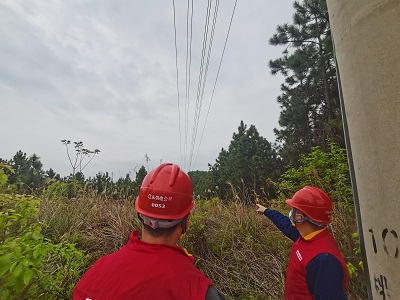 國網江永縣供電公司清明前防山火特巡