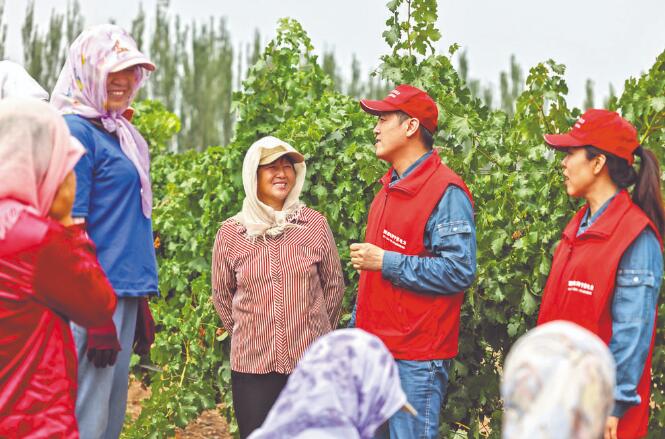 國家電網寧夏電力閩寧山海情(永寧)共產黨員服務隊電亮閩寧 情暖百姓