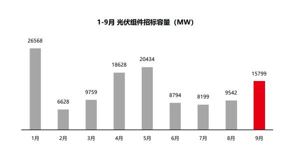 組件招標(biāo)量飆升，莫讓“最低價中標(biāo)”中傷“中國名片”