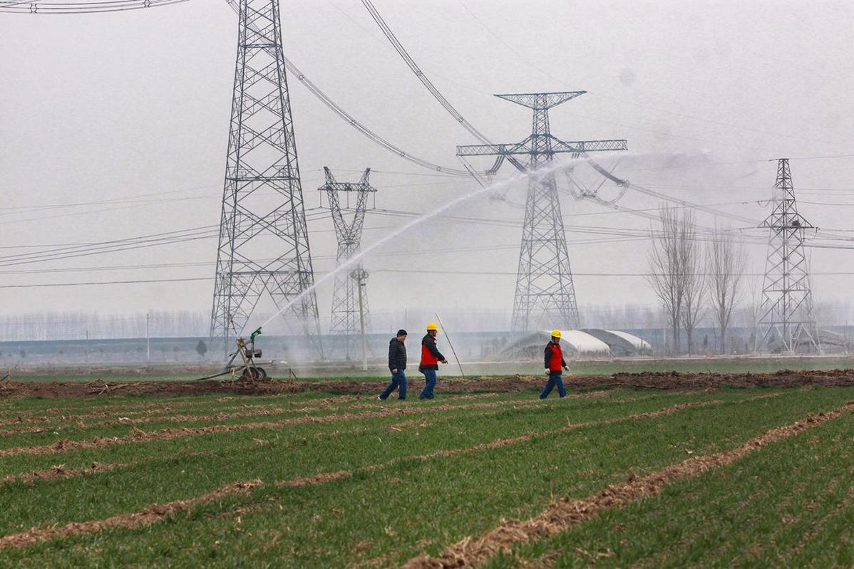 河南博愛：春耕春灌人倍忙 電力服務(wù)入“心田”