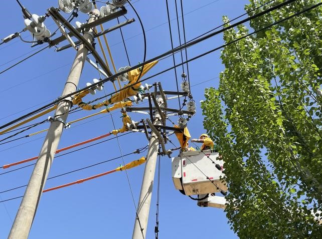 帶電作業(yè)除隱患，安全供電有保障