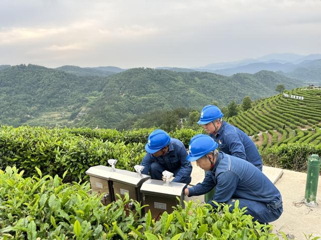 國(guó)網(wǎng)平利縣供電公司用心電靚“國(guó)際茶日”傾情賦能女媧故里