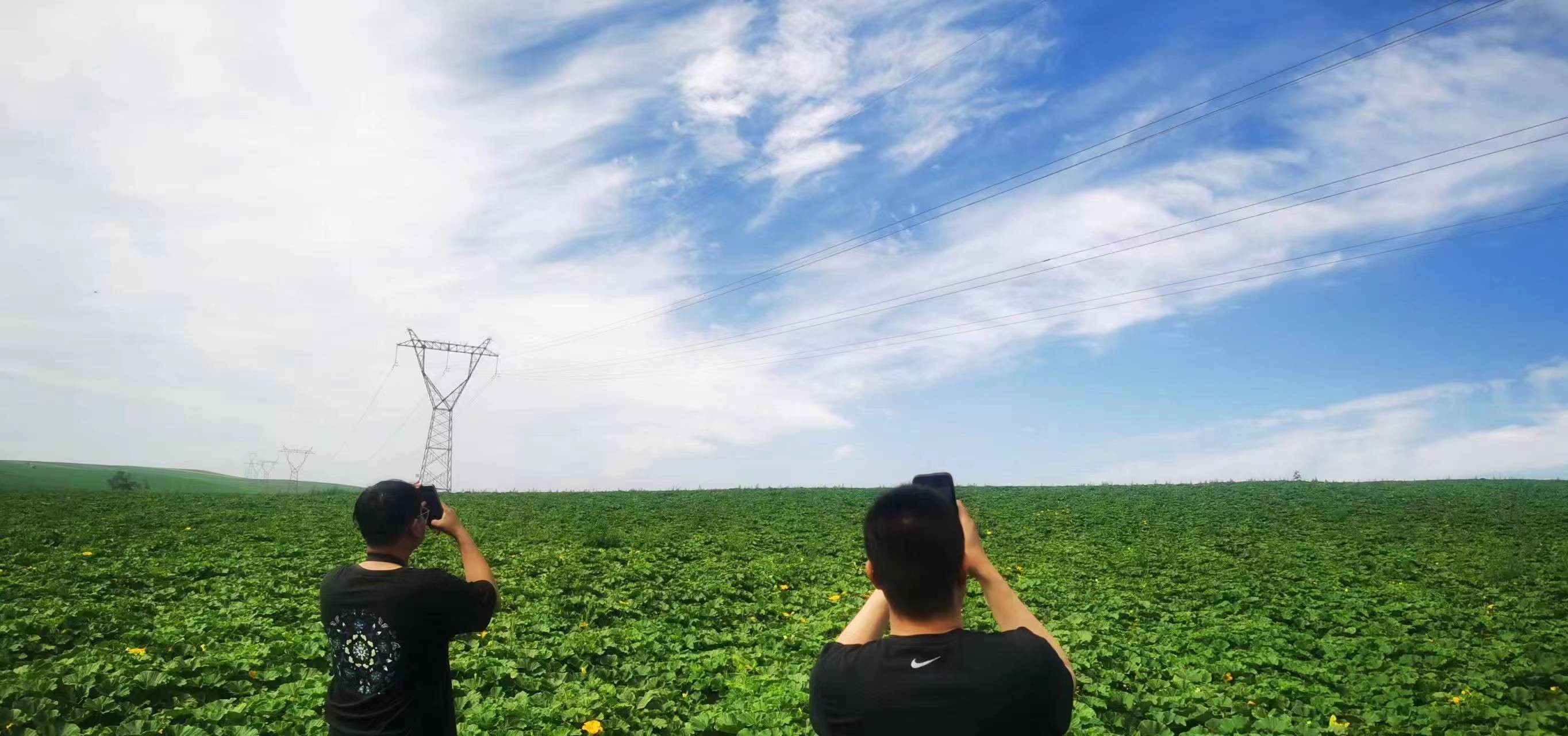 四子王輸變電管理處：防外力破壞，助安全運行