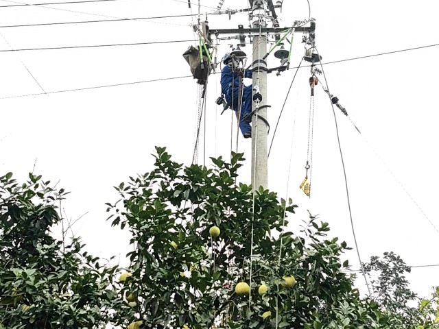 四川自貢：農網升級改造 鄉(xiāng)村振興電力足