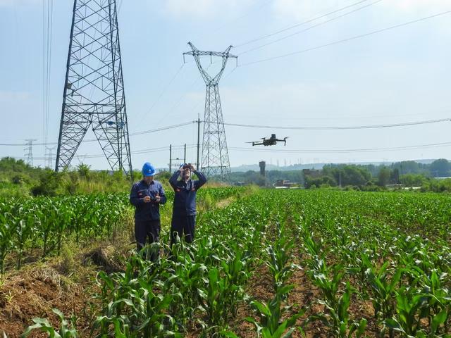 國網阜新供電公司“電力+北斗”讓輸電線路運維更智能